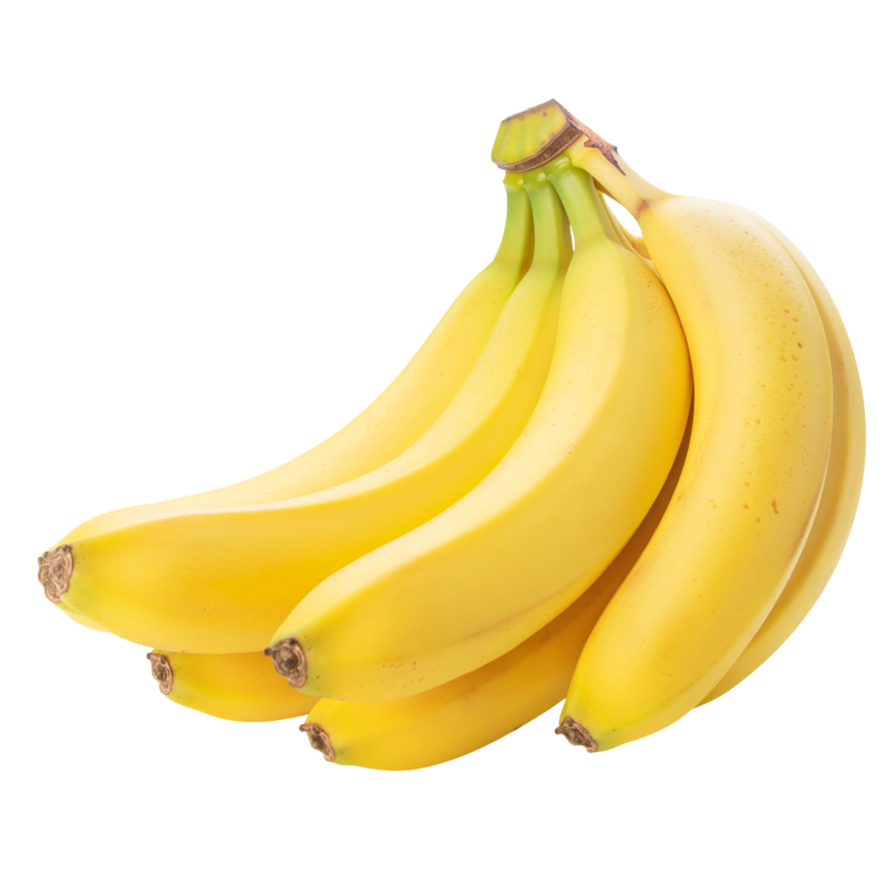前の記事