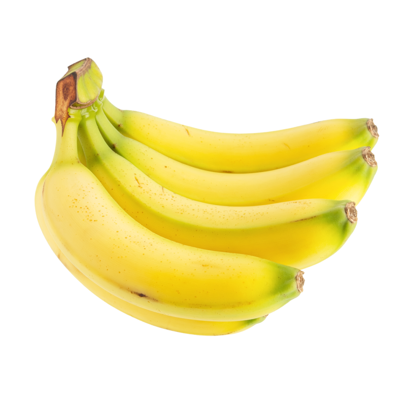 次の記事