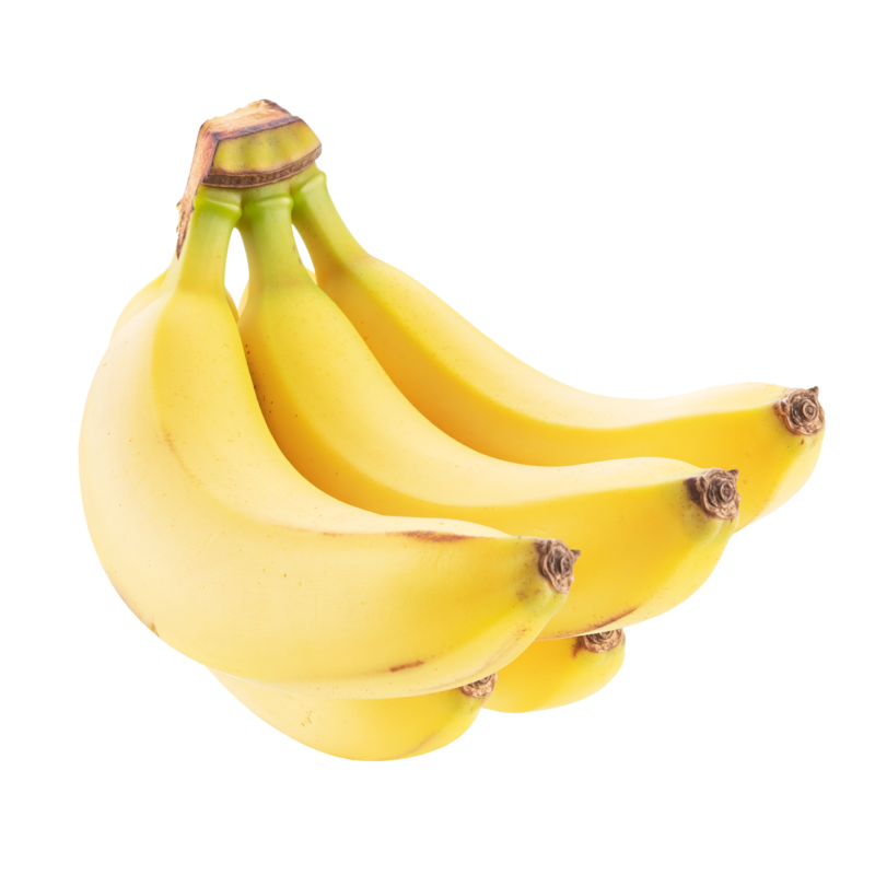 前の記事