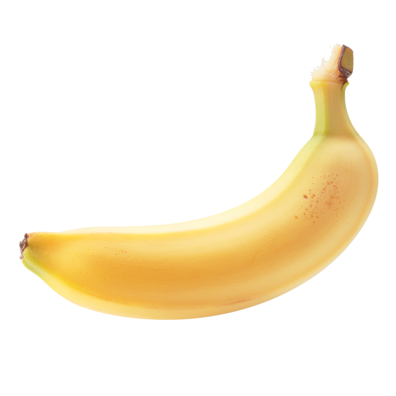 次の記事