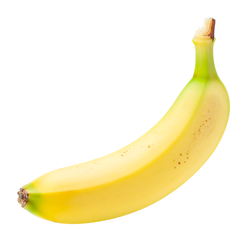 次の記事