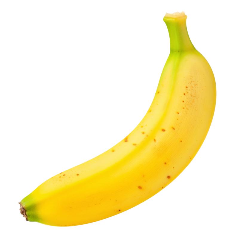 次の記事