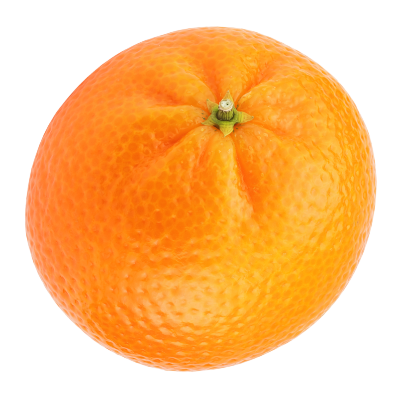 前の記事