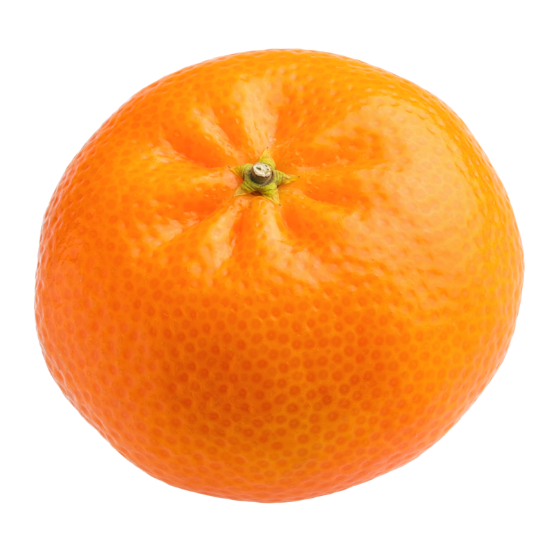 前の記事
